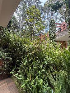 Apartamento de 3 alcobas en venta en Cerros De Santa Barbara, Bogotá, 229 m² · foto 15 de 19