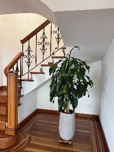 Apartamento en venta en Monte Arroyo, Bogotá · foto 5 de 19