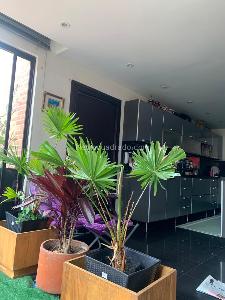 Apartamento en venta en Monte Arroyo, Bogotá · foto 12 de 15