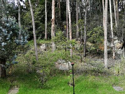 Apartamento en venta en Sierras Del Moral, Bogotá · foto 12 de 20