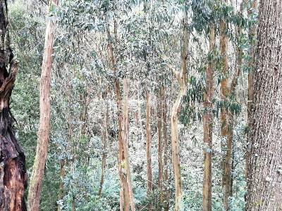 Apartamento en venta en Montearroyo, Bogotá · foto 20 de 20