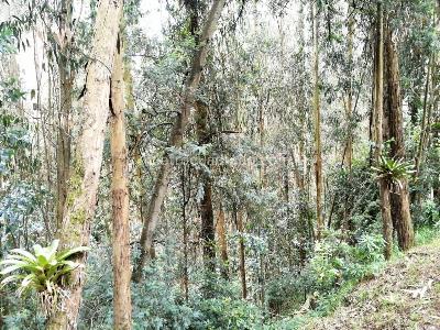 Apartamento de 4 alcobas en venta en Sierras Del Moral, Bogotá, 392 m² · foto 19 de 19