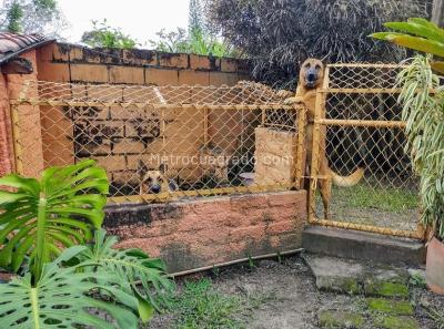 Casa de 4 alcobas en venta en Aparco San Francisco, Ibagué · foto 18 de 20