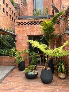 Apartamento en venta en Santa Ana Oriental, Bogotá · foto 7 de 11