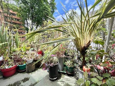 Apartamento de 3 alcobas en venta en El Nogal, Bogotá, 260 m² · foto 4 de 16