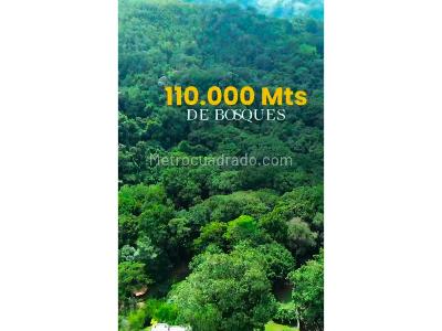 Casa de 3 alcobas en venta en Cabecera Del Llano, Bucaramanga, 290 m² · foto 12 de 12
