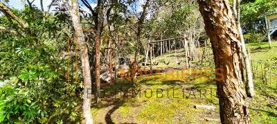 Casa de 5 alcobas en venta en Catedral, Envigado, 399 m² · foto 15 de 15