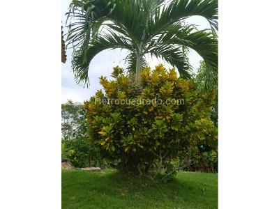 Casa en venta en Arjona; Bolivar, Cartagena · foto 18 de 20