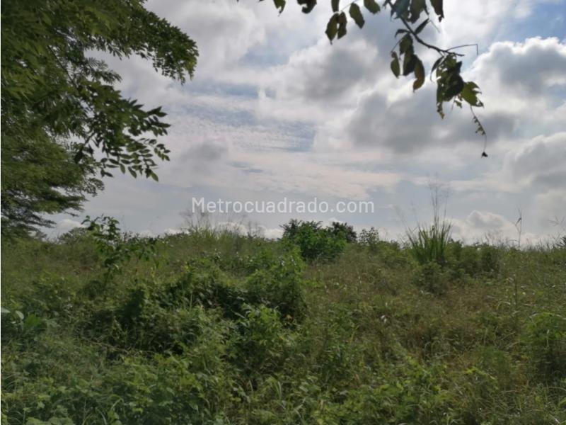 Lote en Venta, Turbana, Cartagena de Indias - Vista 3