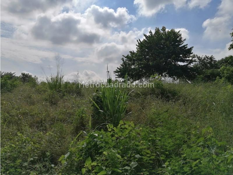 Lote en Venta, Turbana, Cartagena de Indias - Vista 4