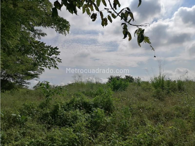 Lote en Venta, Turbana, Cartagena de Indias - Vista 5