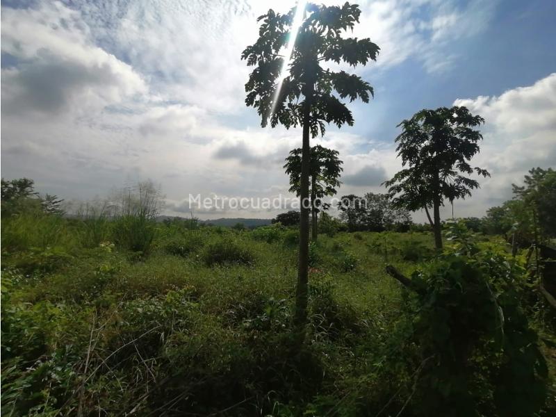 Lote en Venta, Turbana, Cartagena de Indias - Más