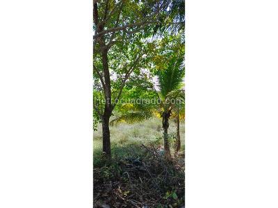 Casa de 4 alcobas en venta en Baru, Cartagena, 230 m² · foto 9 de 10