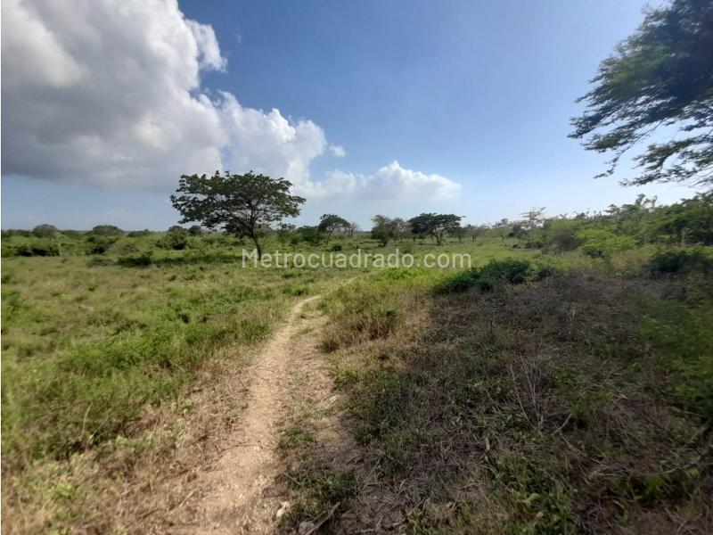 Lote en Venta, Mamonal, Cartagena de Indias - Vista 5
