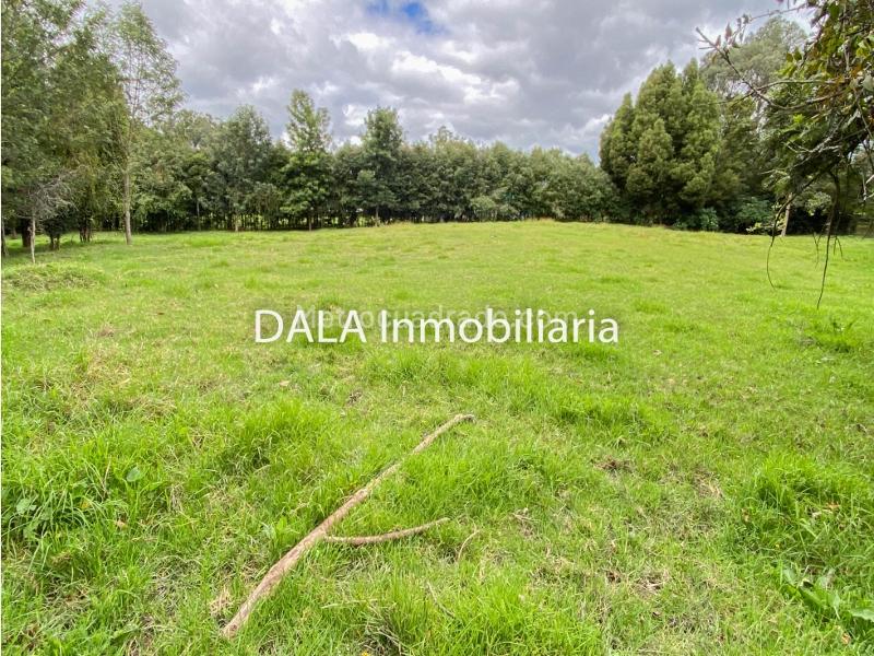 Lote en Venta, Canelon, Cajicá - Поглед 5