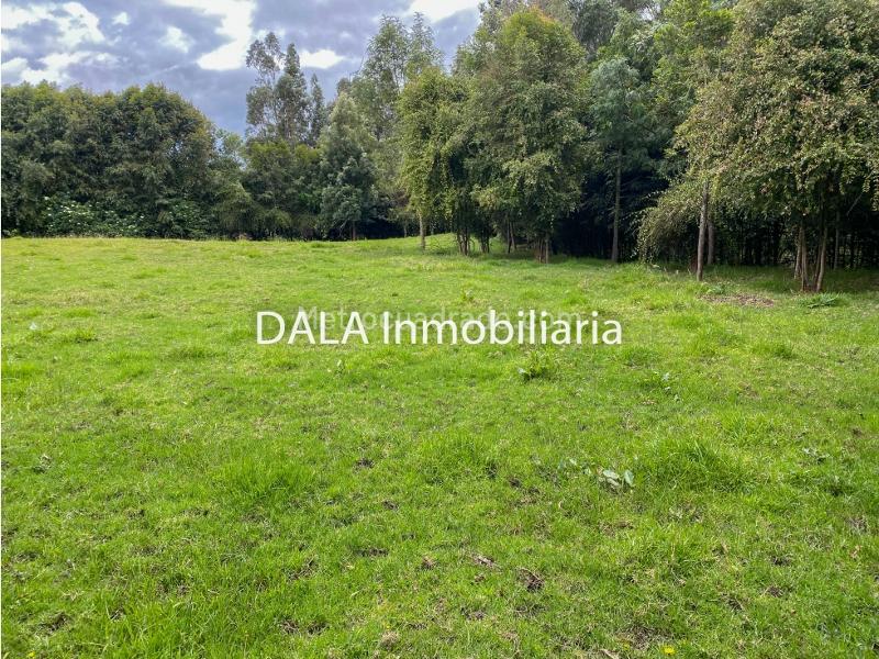 Lote en Venta, Canelon, Cajicá - Повеќе