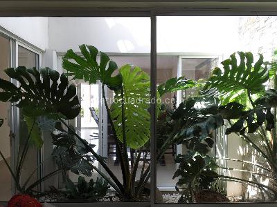Casa de 4 alcobas en venta en Los Laureles Ii, Montería, 273 m² · foto 13 de 20
