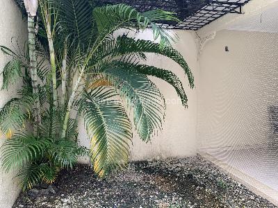 Casa en venta en Urb, Montería · foto 19 de 20