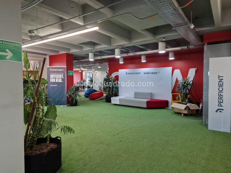 Oficina en Arriendo, CHICO NORTE, Bogotá D.C. - Vista 5