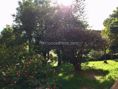 Apartamento de 3 alcobas en venta en 21 Angeles, Bogotá, 269 m² · foto 16 de 20