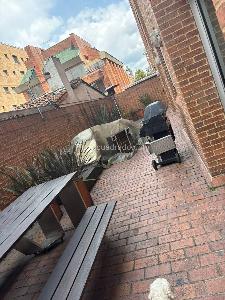 Apartamento en venta en Chico Norte, Bogotá · foto 2 de 19