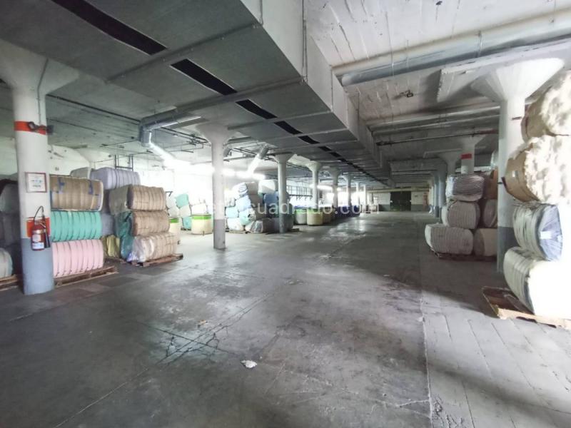 Bodega en Arriendo, Santa Ana, Bello - Widok 4