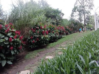 Apartamento de 3 alcobas en venta en Maria Auxiliadora, Sabaneta, 51 m² · foto 17 de 18
