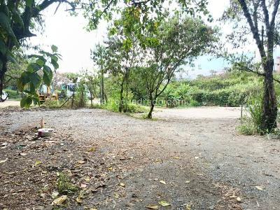 Casa lote en Arriendo, Madera, Bello