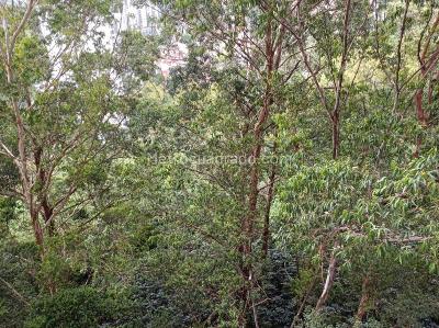 Apartamento de 3 alcobas en arriendo en Las Palmas, Medellín, 78 m² · foto 17 de 17