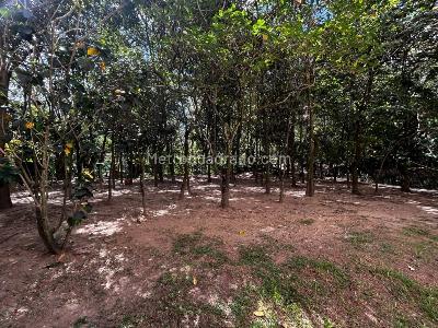 Apartamento en venta en Las Antillas, Envigado · foto 19 de 20