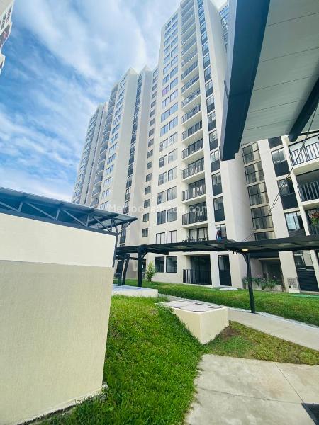Piso – Ibagué - Vista 2