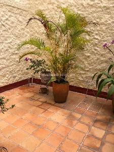 Apartamento de 3 alcobas en venta en Parrales, Ibagué, 126 m² · foto 12 de 15