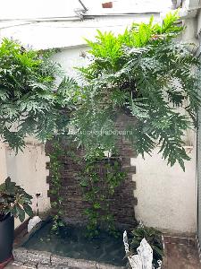 Casa de 4 alcobas en venta en Conjunto Florida 1, Ibagué, 250 m² · foto 15 de 20