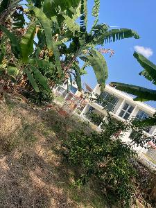 Casa de 4 alcobas en venta en Altos Combeima, Ibagué, 538 m² · foto 15 de 15