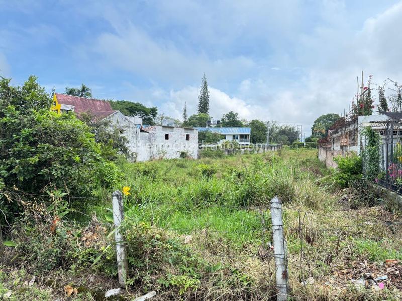 Lote en Venta, Aparco, Ibagué - Vista 2