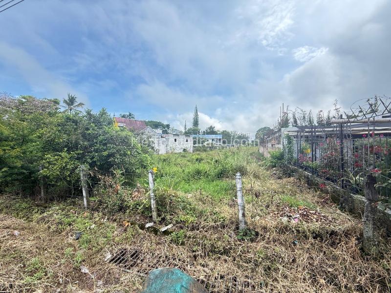 Lote en Venta, Aparco, Ibagué - Vista 4