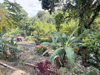 Casa de 4 alcobas en venta en Vereda El Rodeo, Ibagué · foto 16 de 20