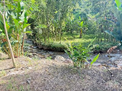 Casa de 4 alcobas en venta en Vereda El Rodeo, Ibagué · foto 20 de 20