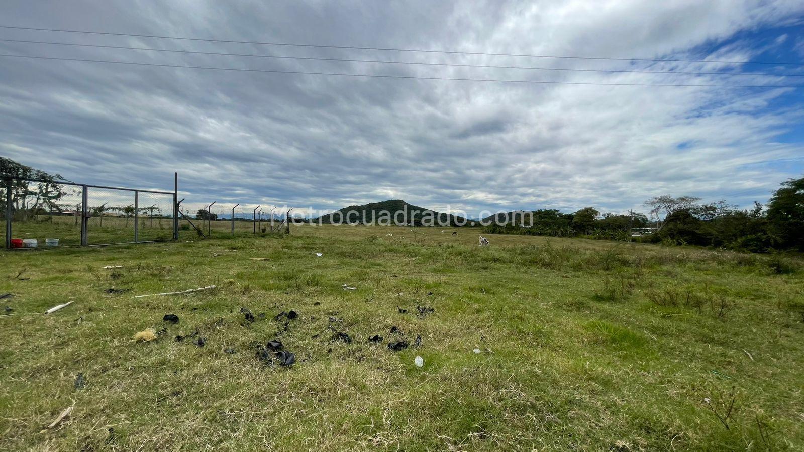 Lote en Venta, Hacienda La Miel, Ibagué - Más