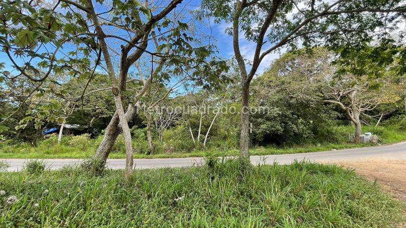 Lote en Venta, Hacienda La Miel, Ibagué - Vista 4