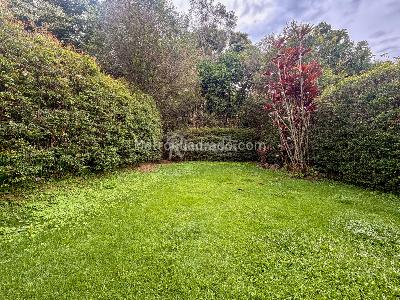 Casa de 3 alcobas en arriendo en Bosques De Zuñiga, Envigado, 400 m² · foto 5 de 20
