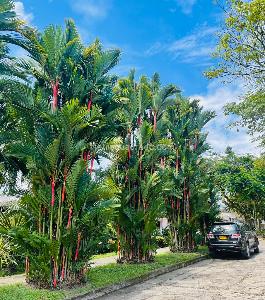 Casa de 5 alcobas en venta en El Caudal, Villavicencio, 1000 m² · foto 17 de 20
