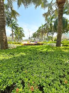 Apartamento en venta en Karibana, Cartagena · foto 20 de 20