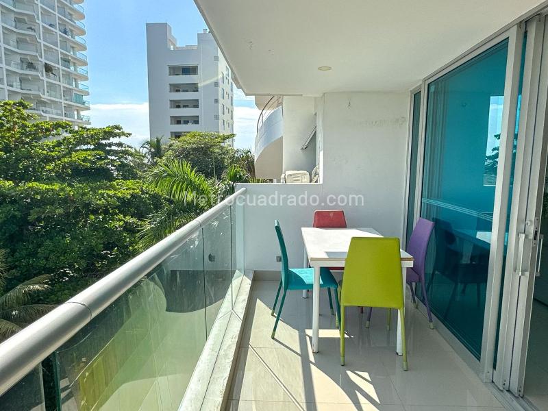 Piso – Cartagena de Indias, Dique - Más