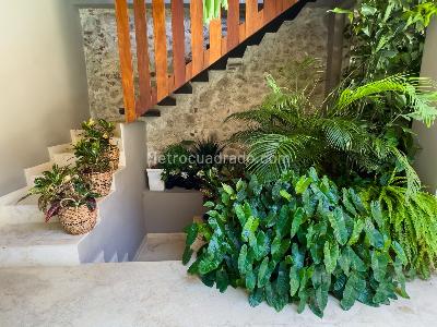 Casa de 4 alcobas en venta en El Centro, Cartagena, 496 m² · foto 4 de 20