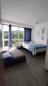 Casa de 4 alcobas en venta en Las Juanas, Ibagué, 450 m² · foto 14 de 20