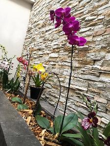 Casa de 5 alcobas en venta en Quinta Paredes, Bogotá, 500 m² · foto 18 de 18