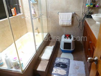Casa de 3 alcobas en venta en Bosque De Pinos, Bogotá, 350 m² · foto 15 de 20