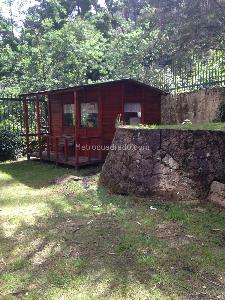 Apartamento de 5 alcobas en venta en Los Rosales, Bogotá, 450 m² · foto 11 de 12