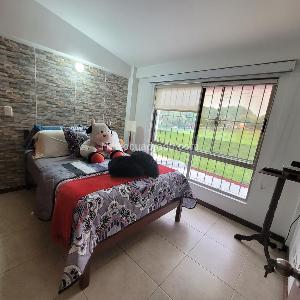 Casa de 3 alcobas en venta en El Vergel, Ibagué, 180 m² · foto 14 de 20